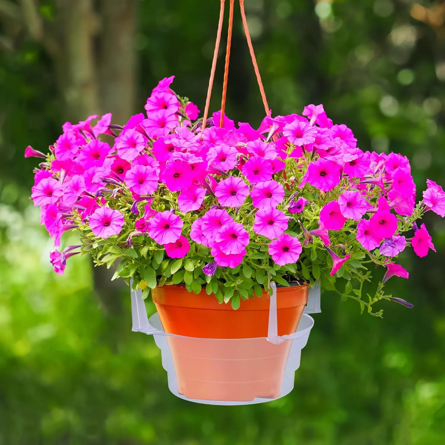 Adnee 15 Pcs 8 Inch Hanging Plant Water Catcher-Clear Plastics Plant Water Catcher Tray-Hanging Plant Saucers Drip Pans for Indoor Outdoor Hanging Basket Flower Pot