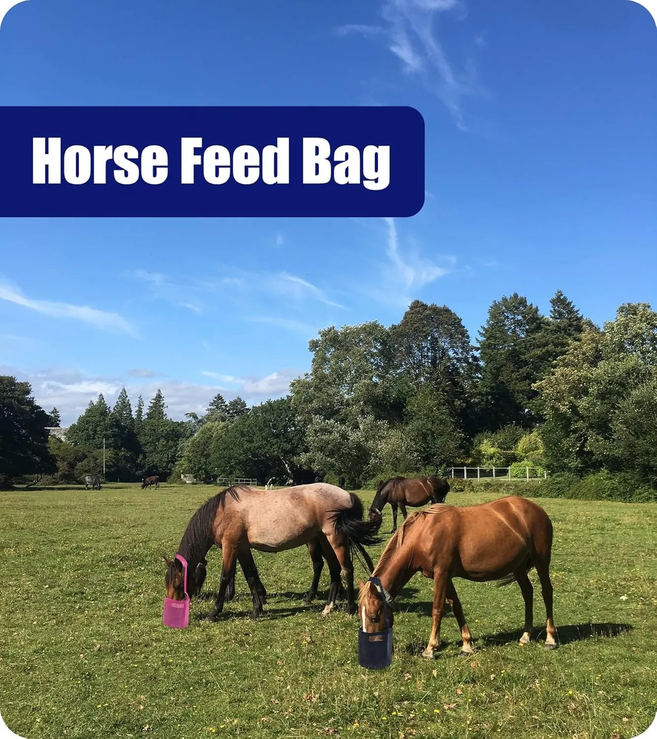 Horse Feed Bag for Grain - Heavy Duty Mesh Horse Feeder with Adjustable Strap,Comfort Neck Pad,Nose Pad and Waterproof Bottom Horse Muzzle Feed Bag(Medium,2pink)