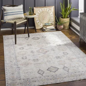 Mark&Day Washable Rugs, 5x7 North Utica Traditional Beige Area Rug, Beige Grey Cream Carpet for Living Room, Bedroom or Kitchen (5'3" x 7', Machine Washable)