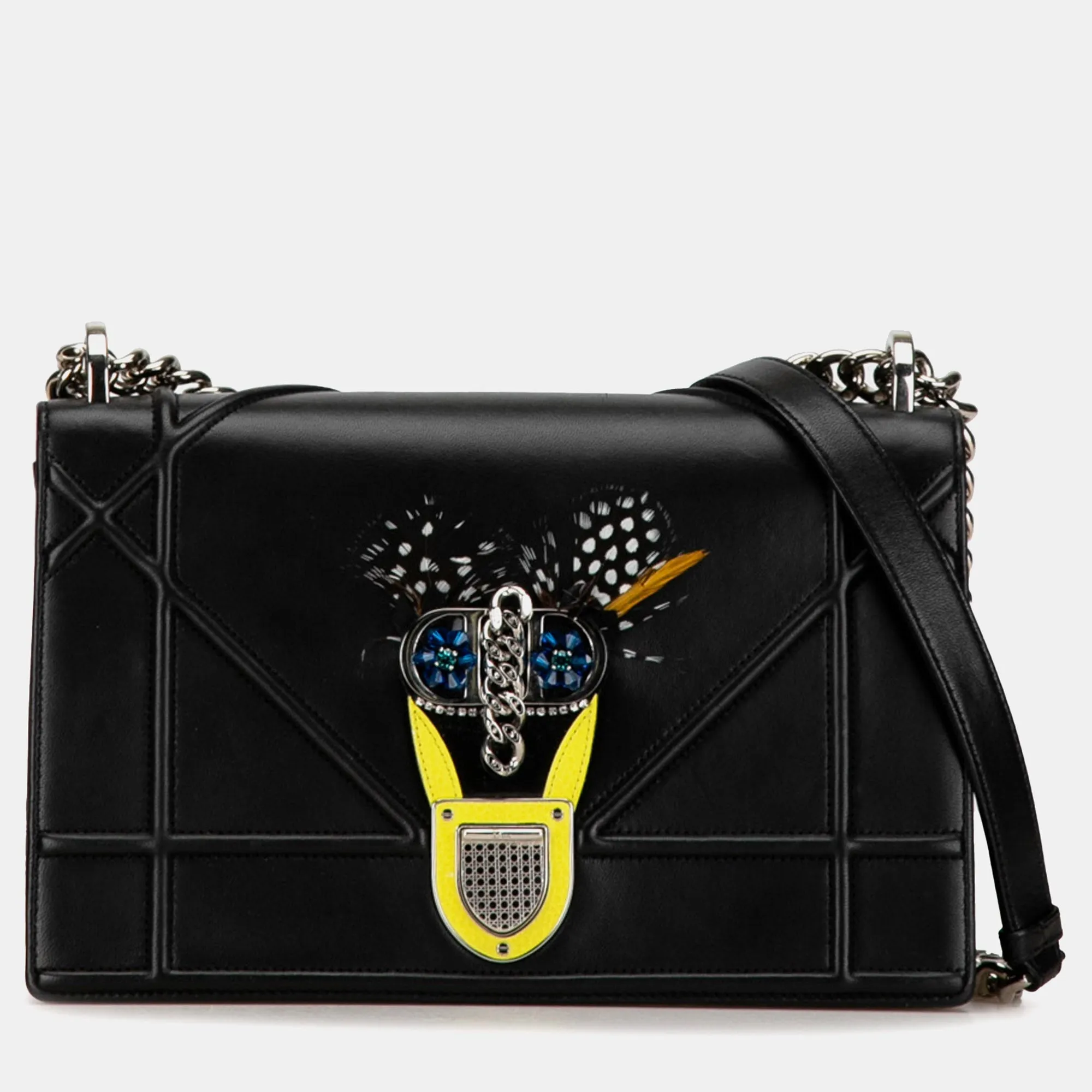 Medium Embellished Calfskin Diorama Flap Bag